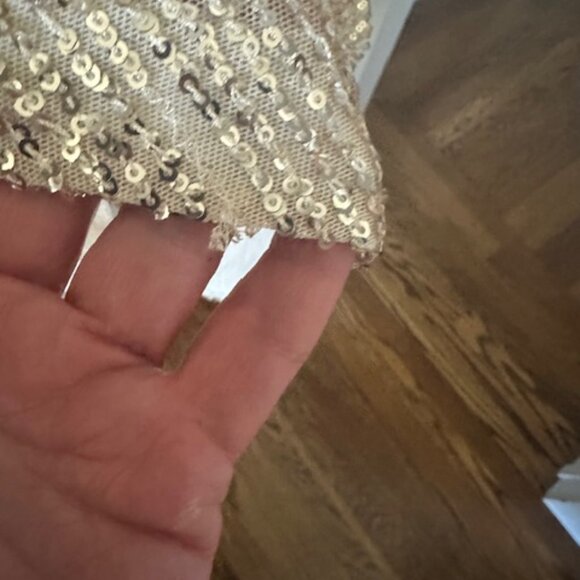 Brand New Banana Republic Gold Sequin Maxi Dress - XL - Picture 5 of 5